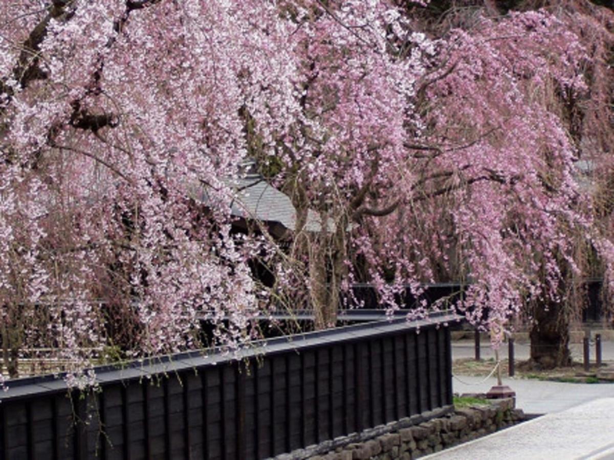 Tamachi Bukeyashiki Hotel - Vacation Stay 20163V Daisen  Eksteriør billede