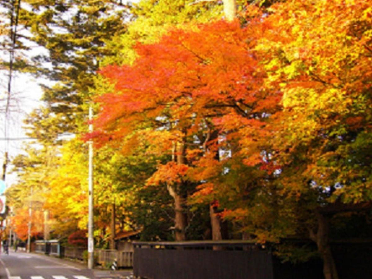 Tamachi Bukeyashiki Hotel - Vacation Stay 20163V Daisen  Eksteriør billede