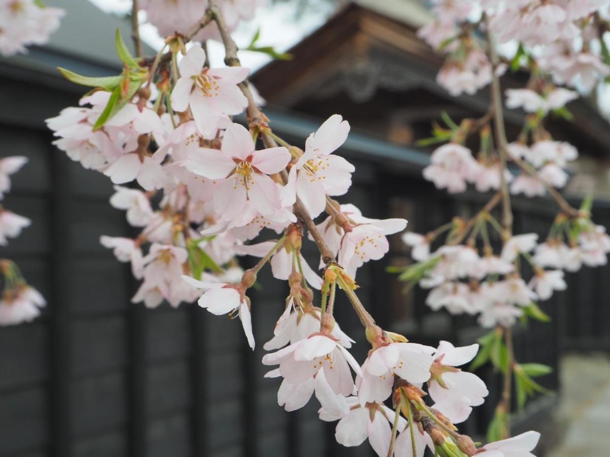 Tamachi Bukeyashiki Hotel - Vacation Stay 20163V Daisen  Eksteriør billede